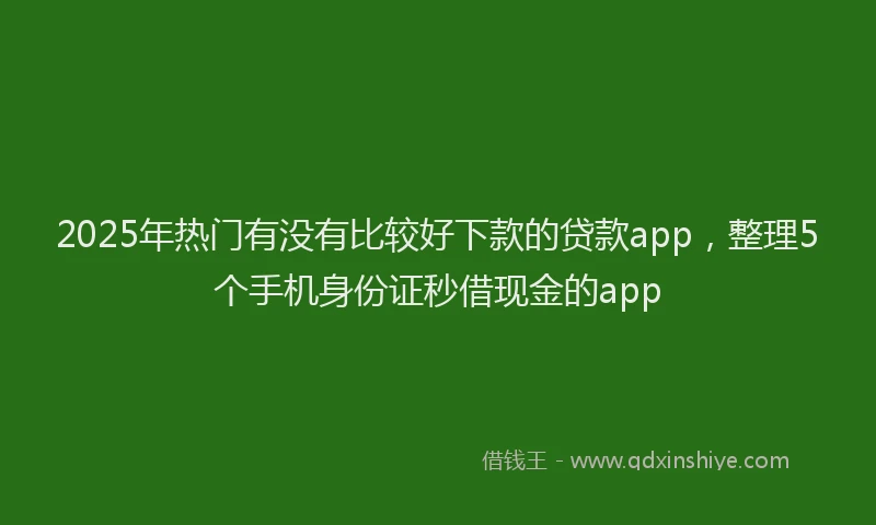 2025年热门有没有比较好下款的贷款app，整理5个手机身份证秒借现金的app