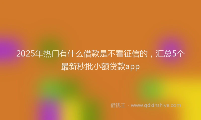 2025年热门有什么借款是不看征信的，汇总5个最新秒批小额贷款app