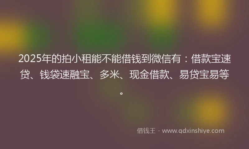 2025年的拍小租能不能借钱到微信有：借款宝速贷、钱袋速融宝、多米、现金借款、易贷宝易等。