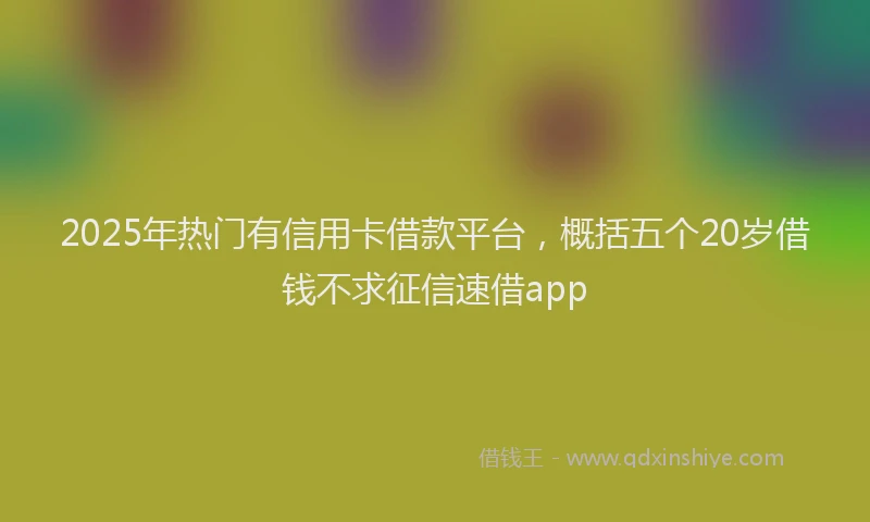 2025年热门有信用卡借款平台，概括五个20岁借钱不求征信速借app