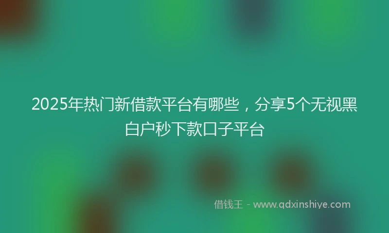 2025年热门新借款平台有哪些，分享5个无视黑白户秒下款口子平台