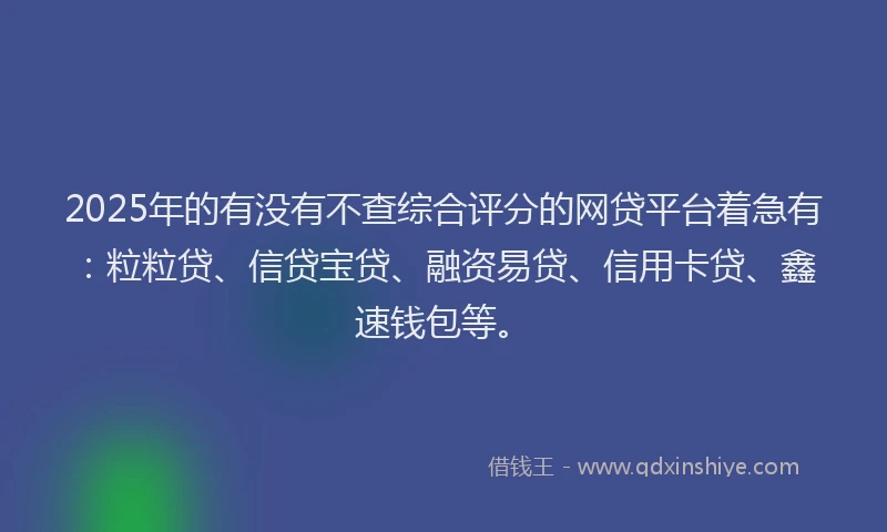 2025年的有没有不查综合评分的网贷平台着急有：粒粒贷、信贷宝贷、融资易贷、信用卡贷、鑫速钱包等。