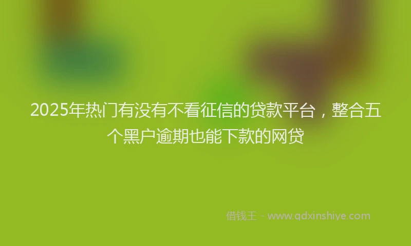 2025年热门有没有不看征信的贷款平台，整合五个黑户逾期也能下款的网贷