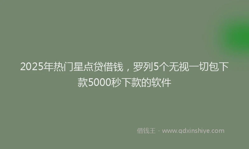 2025年热门星点贷借钱，罗列5个无视一切包下款5000秒下款的软件
