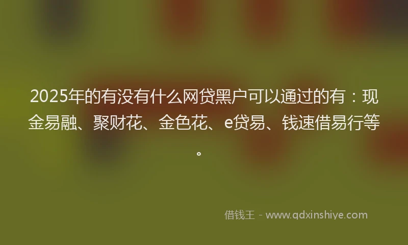 2025年的有没有什么网贷黑户可以通过的有：现金易融、聚财花、金色花、e贷易、钱速借易行等。