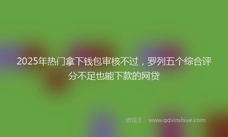 2025年热门拿下钱包审核不过，罗列五个综合评分不足也能下款的网贷