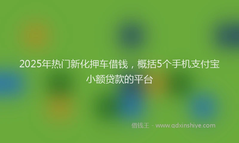 2025年热门新化押车借钱，概括5个手机支付宝小额贷款的平台