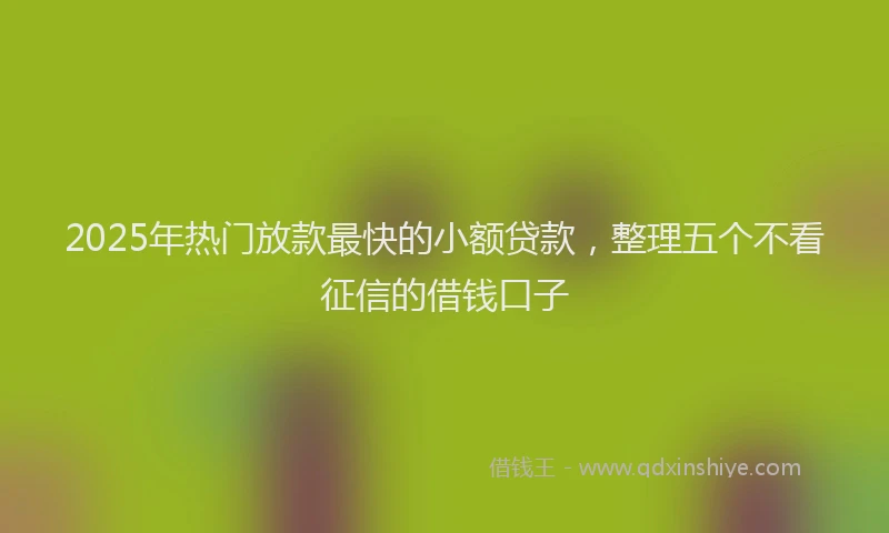 2025年热门放款最快的小额贷款，整理五个不看征信的借钱口子