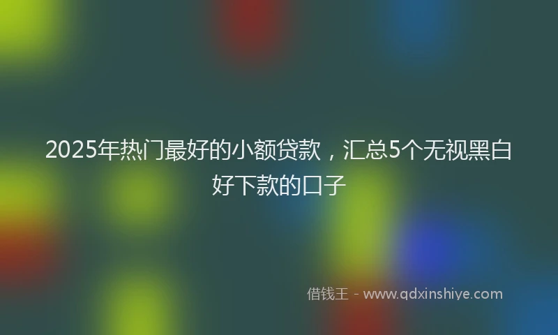 2025年热门最好的小额贷款，汇总5个无视黑白好下款的口子