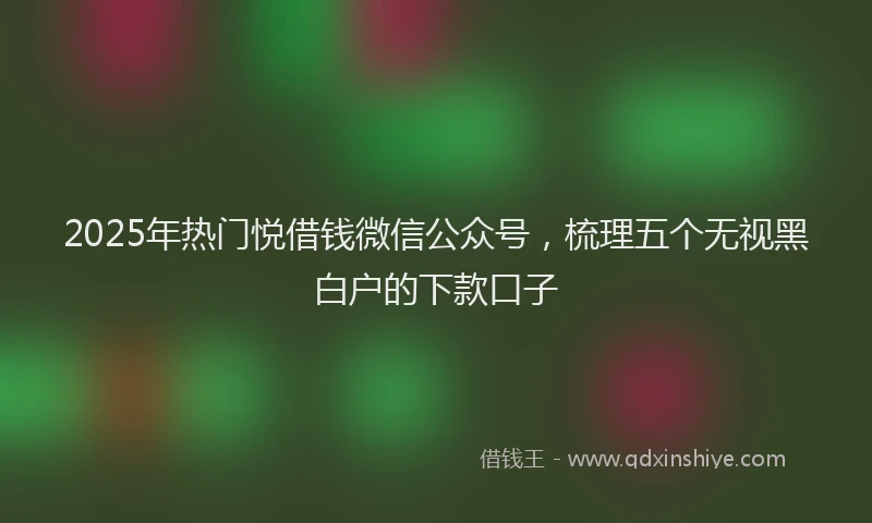 2025年热门悦借钱微信公众号，梳理五个无视黑白户的下款口子