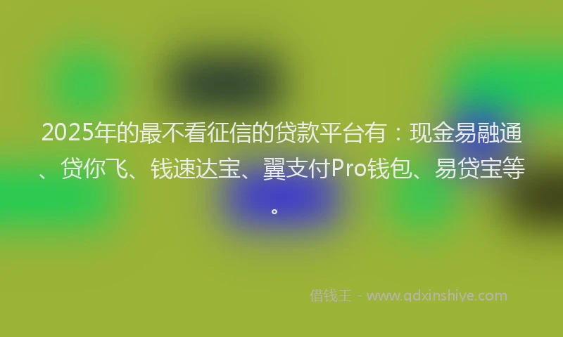 2025年的最不看征信的贷款平台有：现金易融通、贷你飞、钱速达宝、翼支付Pro钱包、易贷宝等。
