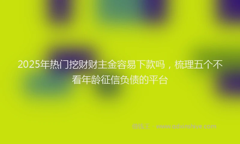 2025年热门挖财财主金容易下款吗，梳理五个不看年龄征信负债的平台