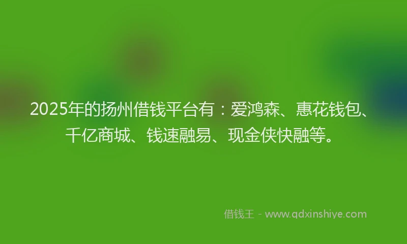 2025年的扬州借钱平台有：爱鸿森、惠花钱包、千亿商城、钱速融易、现金侠快融等。