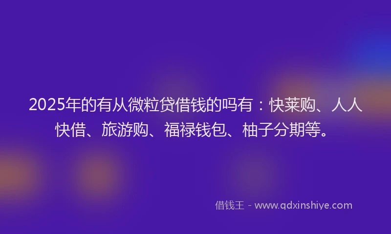 2025年的有从微粒贷借钱的吗有：快莱购、人人快借、旅游购、福禄钱包、柚子分期等。