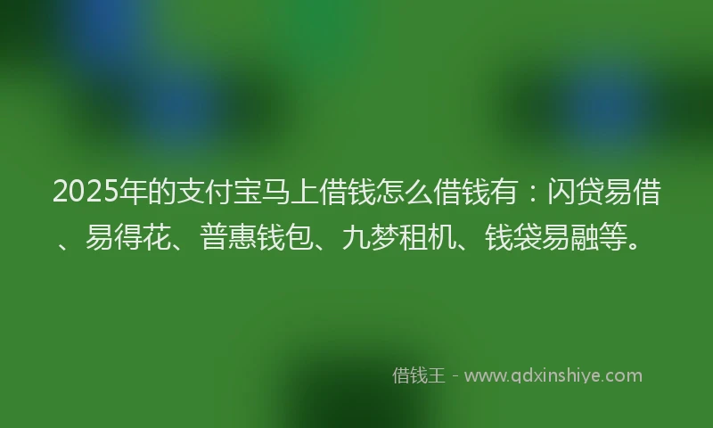 2025年的支付宝马上借钱怎么借钱有：闪贷易借、易得花、普惠钱包、九梦租机、钱袋易融等。