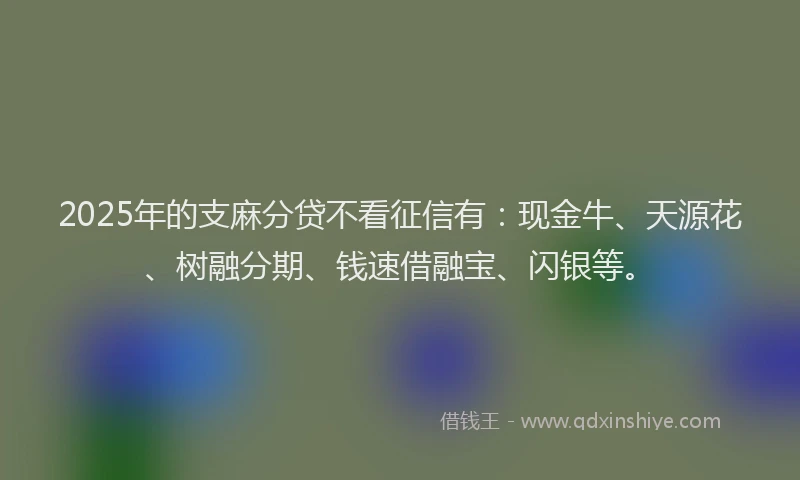 2025年的支麻分贷不看征信有：现金牛、天源花、树融分期、钱速借融宝、闪银等。