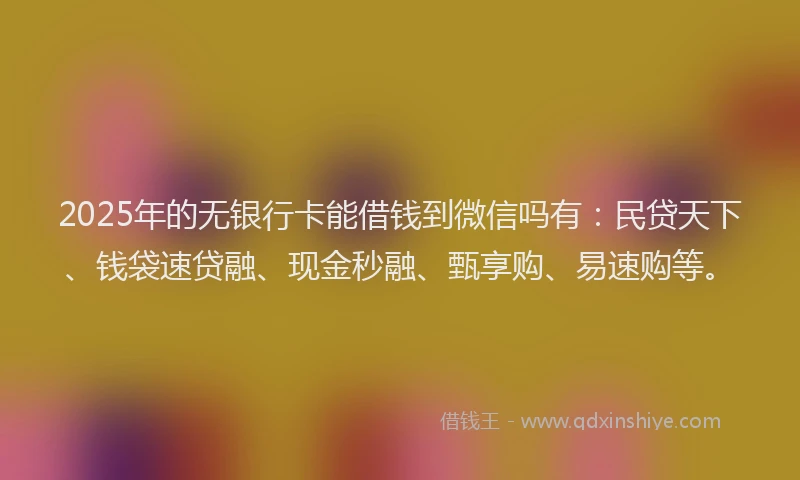2025年的无银行卡能借钱到微信吗有：民贷天下、钱袋速贷融、现金秒融、甄享购、易速购等。
