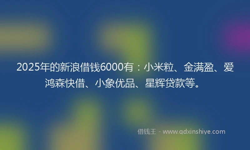 2025年的新浪借钱6000有：小米粒、金满盈、爱鸿森快借、小象优品、星辉贷款等。