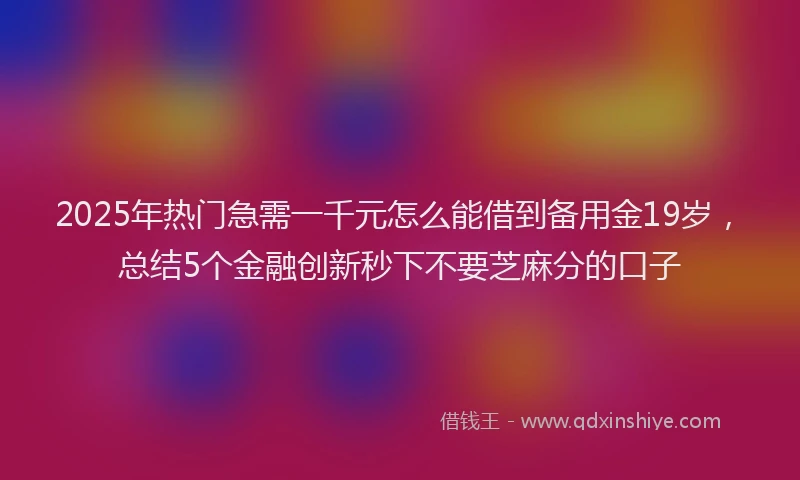 2025年热门急需一千元怎么能借到备用金19岁，总结5个金融创新秒下不要芝麻分的口子