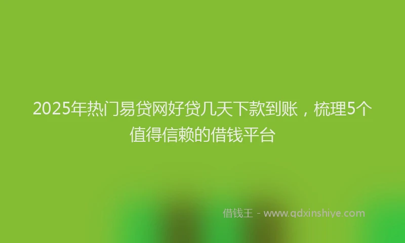 2025年热门易贷网好贷几天下款到账，梳理5个值得信赖的借钱平台