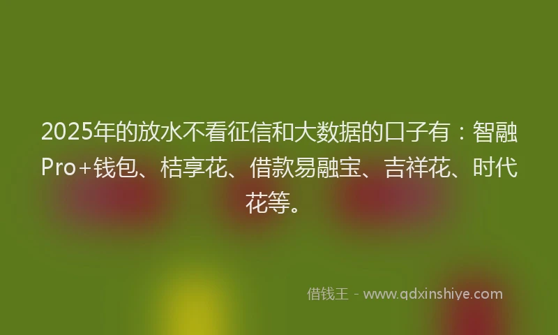 2025年的放水不看征信和大数据的口子有：智融Pro+钱包、桔享花、借款易融宝、吉祥花、时代花等。