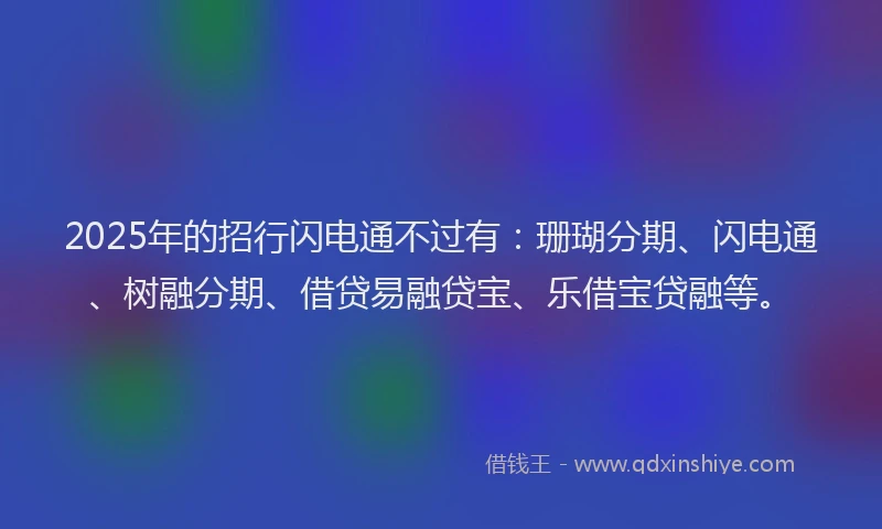 2025年的招行闪电通不过有：珊瑚分期、闪电通、树融分期、借贷易融贷宝、乐借宝贷融等。