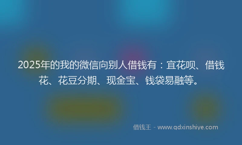 2025年的我的微信向别人借钱有：宜花呗、借钱花、花豆分期、现金宝、钱袋易融等。