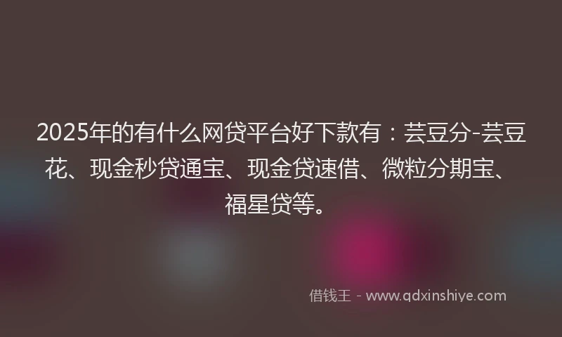 2025年的有什么网贷平台好下款有：芸豆分-芸豆花、现金秒贷通宝、现金贷速借、微粒分期宝、福星贷等。