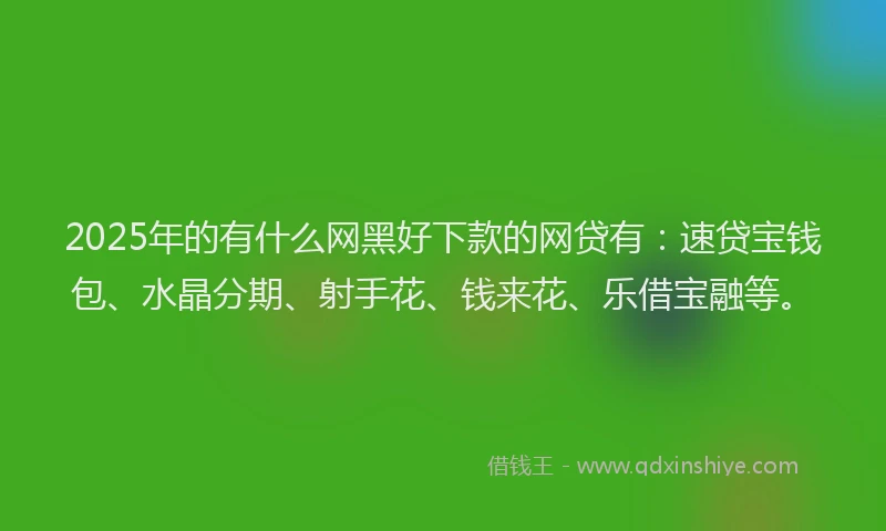 2025年的有什么网黑好下款的网贷有：速贷宝钱包、水晶分期、射手花、钱来花、乐借宝融等。