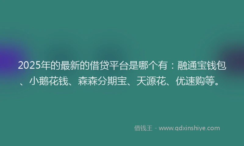 2025年的最新的借贷平台是哪个有：融通宝钱包、小鹅花钱、森森分期宝、天源花、优速购等。