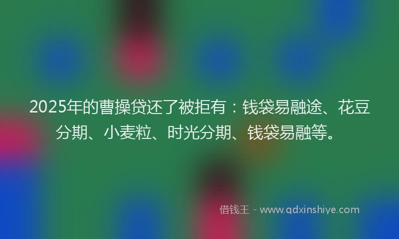 2025年的曹操贷还了被拒有：钱袋易融途、花豆分期、小麦粒、时光分期、钱袋易融等。