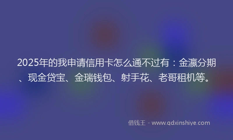 2025年的我申请信用卡怎么通不过有：金瀛分期、现金贷宝、金瑞钱包、射手花、老哥租机等。