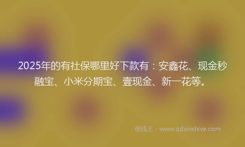 2025年的有社保哪里好下款有：安鑫花、现金秒融宝、小米分期宝、壹现金、新一花等。