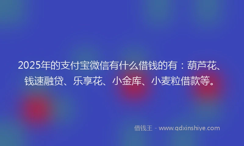 2025年的支付宝微信有什么借钱的有：葫芦花、钱速融贷、乐享花、小金库、小麦粒借款等。
