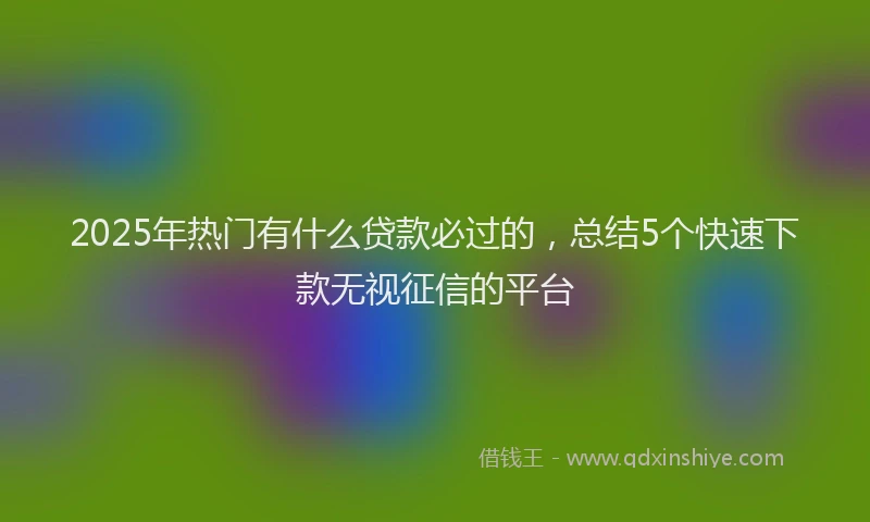 2025年热门有什么贷款必过的，总结5个快速下款无视征信的平台