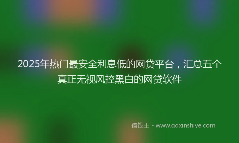 2025年热门最安全利息低的网贷平台，汇总五个真正无视风控黑白的网贷软件