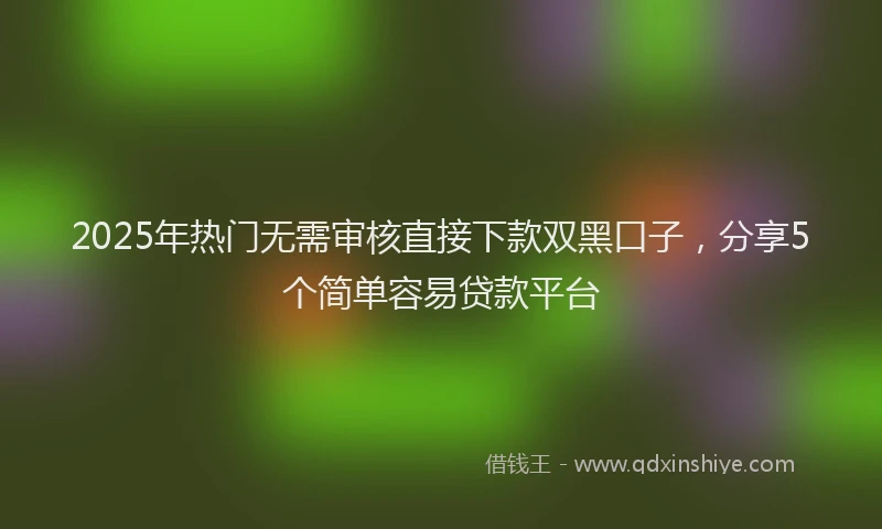 2025年热门无需审核直接下款双黑口子，分享5个简单容易贷款平台