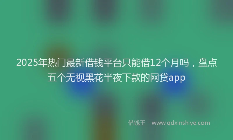2025年热门最新借钱平台只能借12个月吗，盘点五个无视黑花半夜下款的网贷app