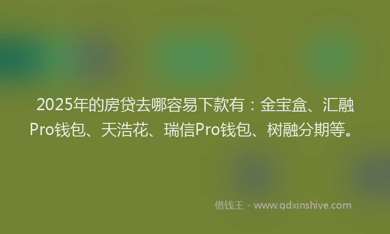 2025年的房贷去哪容易下款有：金宝盒、汇融Pro钱包、天浩花、瑞信Pro钱包、树融分期等。