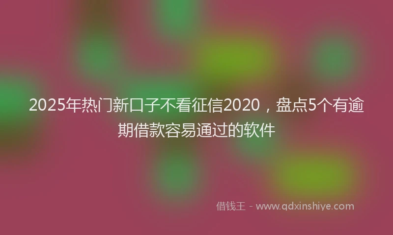 2025年热门新口子不看征信2020，盘点5个有逾期借款容易通过的软件