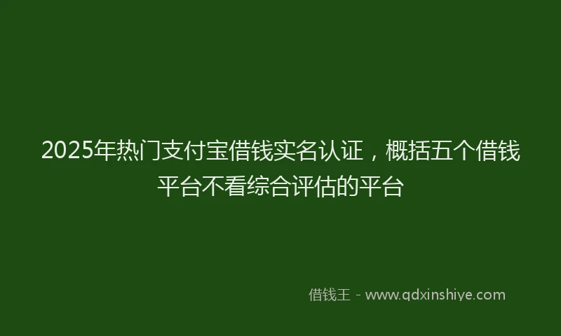 2025年热门支付宝借钱实名认证，概括五个借钱平台不看综合评估的平台