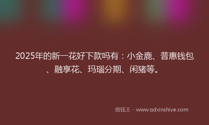 2025年的新一花好下款吗有：小金鹿、普惠钱包、融享花、玛瑙分期、闲猪等。
