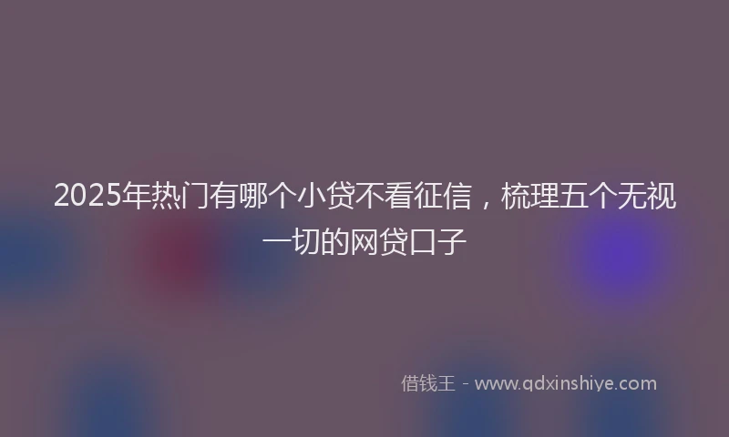 2025年热门有哪个小贷不看征信，梳理五个无视一切的网贷口子