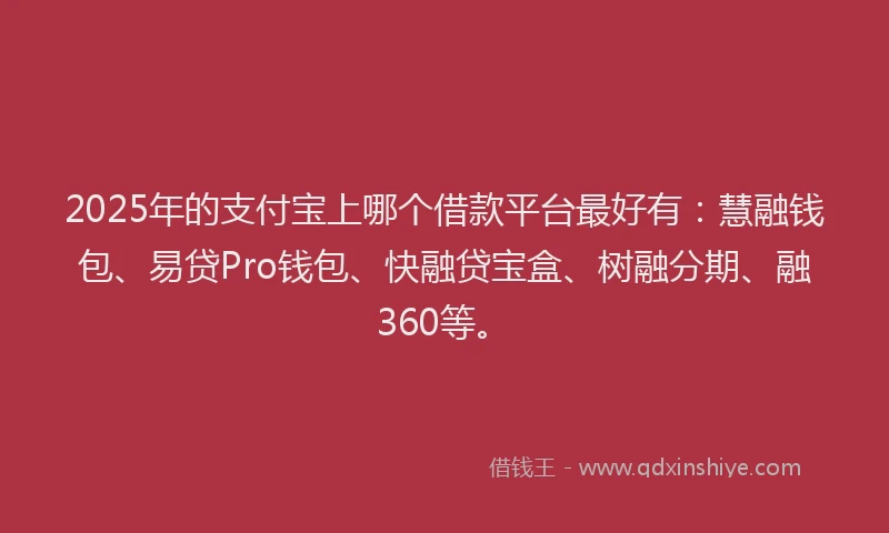 2025年的支付宝上哪个借款平台最好有：慧融钱包、易贷Pro钱包、快融贷宝盒、树融分期、融360等。
