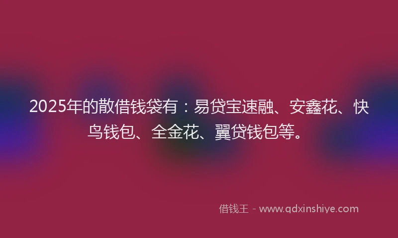 2025年的散借钱袋有：易贷宝速融、安鑫花、快鸟钱包、全金花、翼贷钱包等。