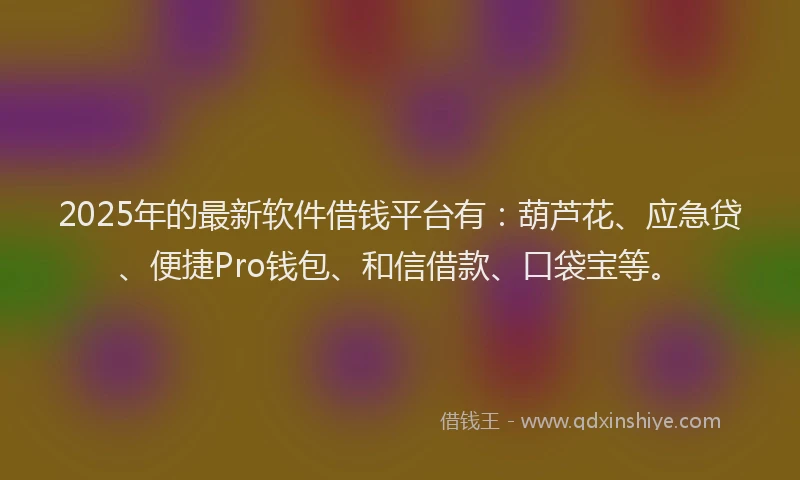 2025年的最新软件借钱平台有：葫芦花、应急贷、便捷Pro钱包、和信借款、口袋宝等。