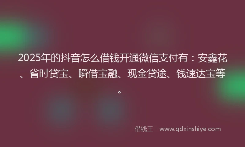 2025年的抖音怎么借钱开通微信支付有：安鑫花、省时贷宝、瞬借宝融、现金贷途、钱速达宝等。