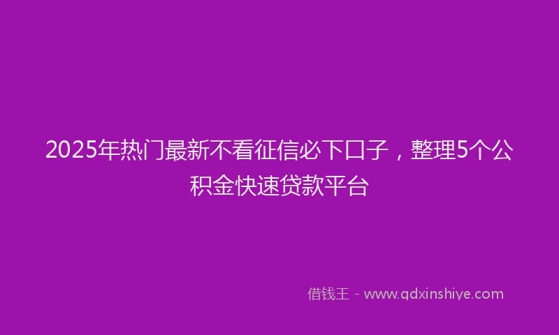 2025年热门最新不看征信必下口子，整理5个公积金快速贷款平台