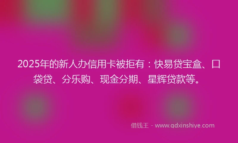 2025年的新人办信用卡被拒有：快易贷宝盒、口袋贷、分乐购、现金分期、星辉贷款等。