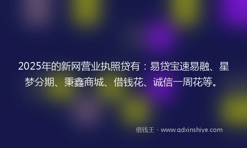 2025年的新网营业执照贷有：易贷宝速易融、星梦分期、秉鑫商城、借钱花、诚信一周花等。